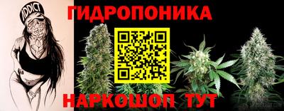 стафф Обнинск