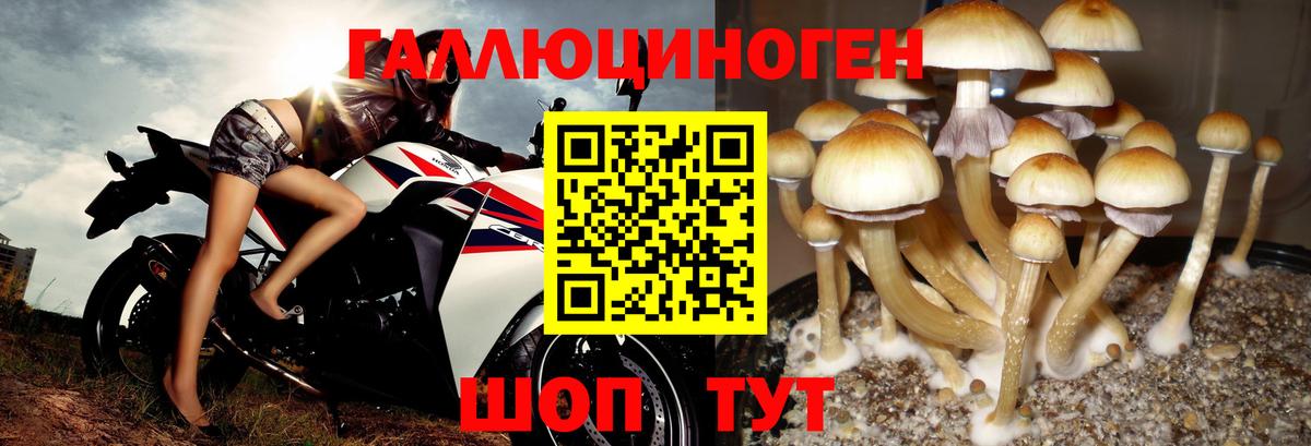 Псилоцибиновые грибы Magic Shrooms  Вход с VPN  Спасск-Дальний 